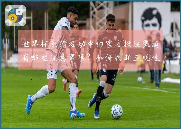 世界杯竞猜活动中的官方投注渠道有哪些注意事项?如何判断正规性?